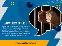 Saggi Law Firm image 19